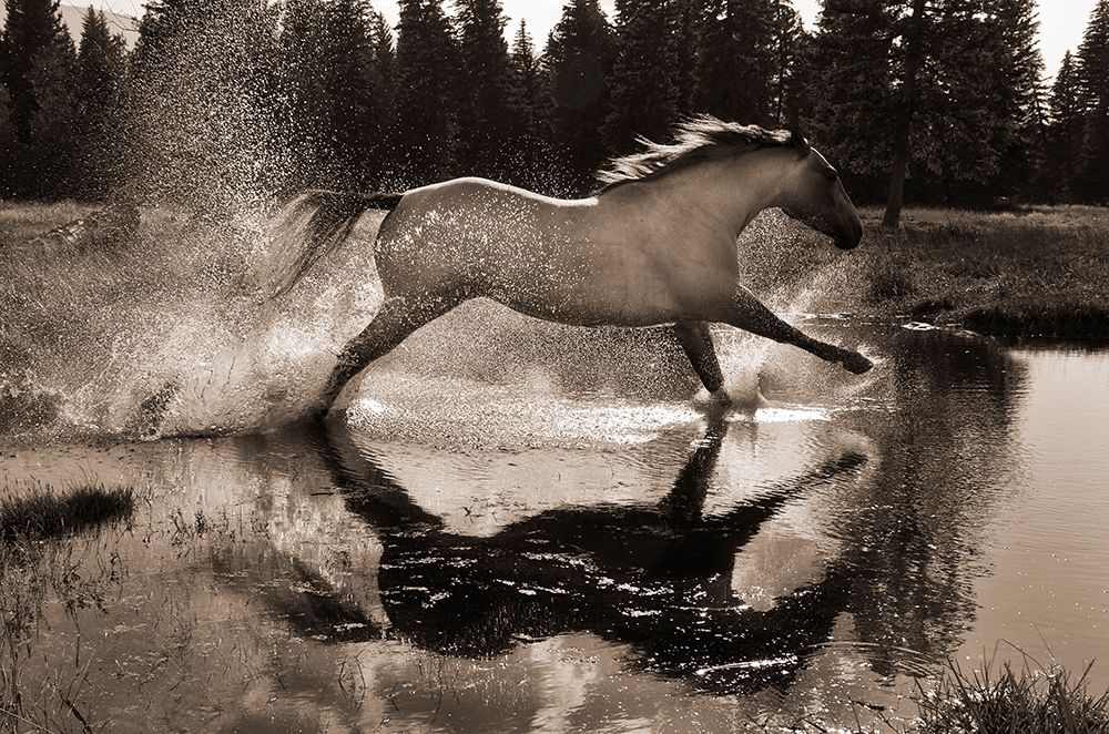 Running Water III art print by Robert Dawson for $57.95 CAD