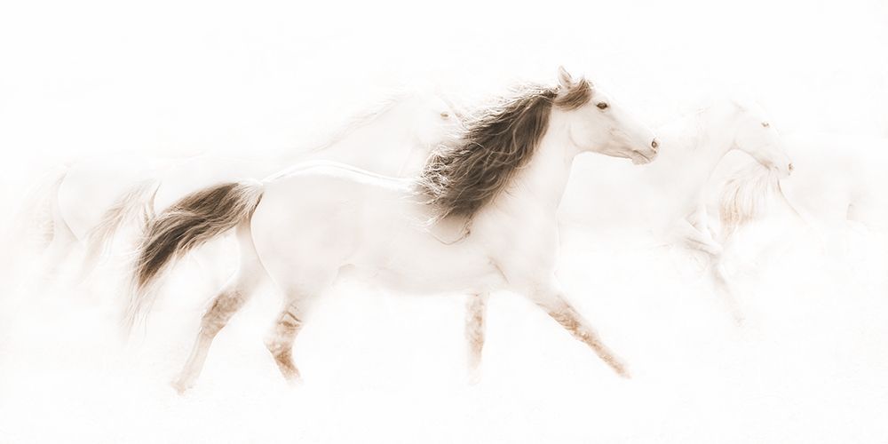 The Mustangs art print by Robert Dawson for $57.95 CAD
