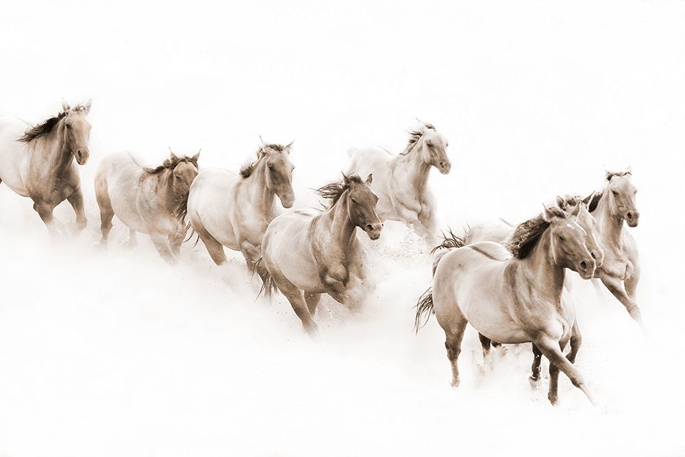 The Guardian art print by Robert Dawson for $57.95 CAD
