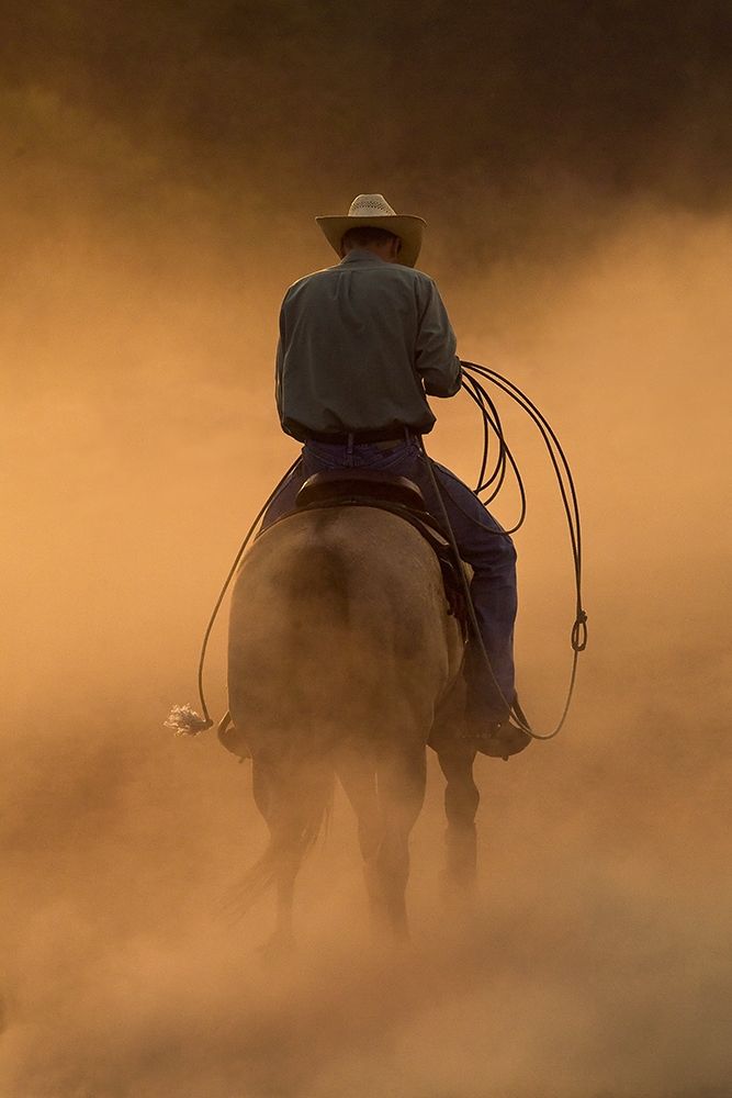 Teo On the Ranch art print by Robert Dawson for $57.95 CAD