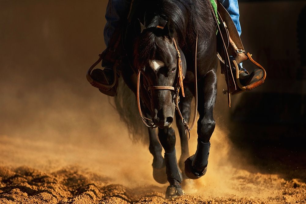 The Reiner art print by Robert Dawson for $57.95 CAD