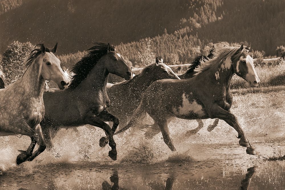 The Big Race art print by Robert Dawson for $57.95 CAD