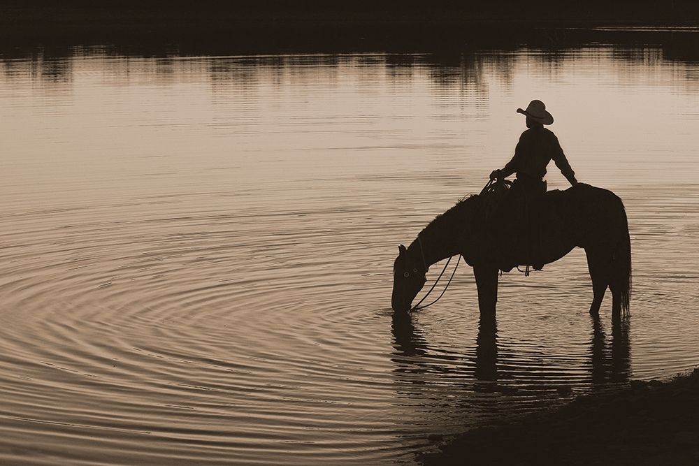 Texas Sunset ~ Sepia art print by Robert Dawson for $57.95 CAD