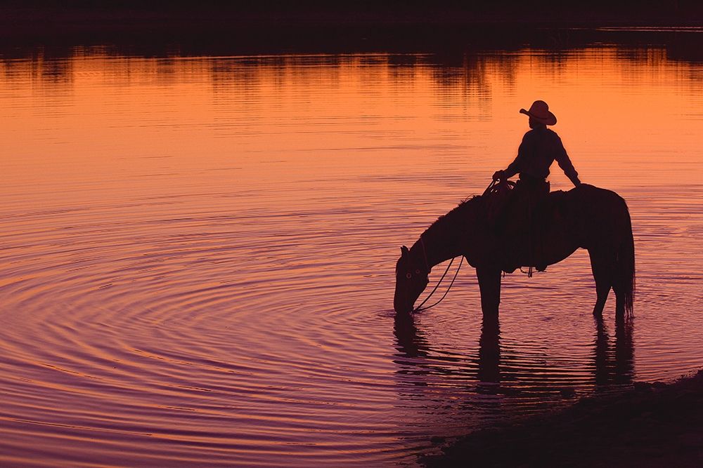 Texas Sunset art print by Robert Dawson for $57.95 CAD