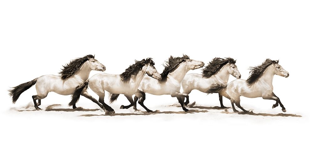 The Buckskins art print by Robert Dawson for $57.95 CAD