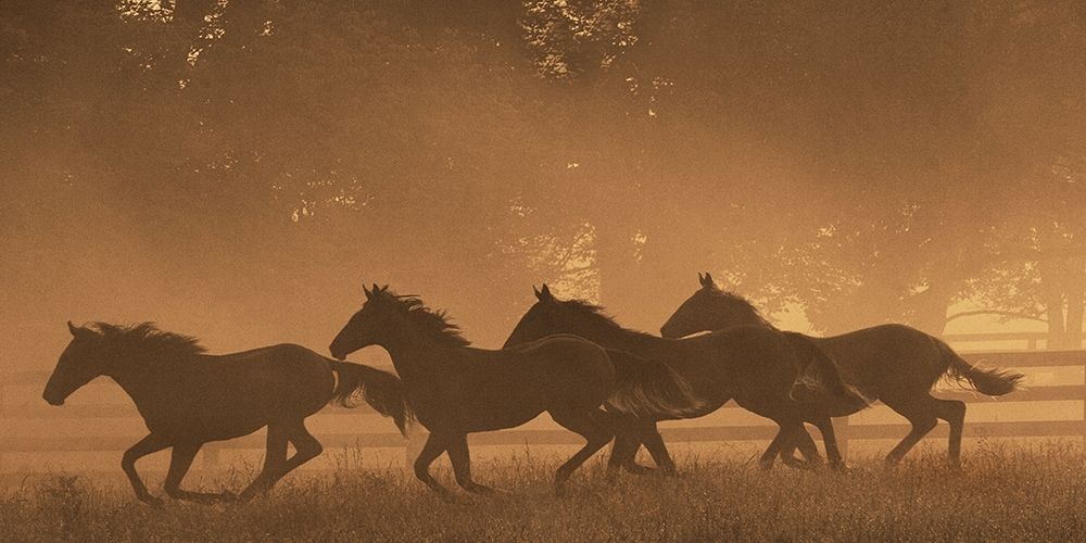 The Sprint for Home art print by Robert Dawson for $57.95 CAD