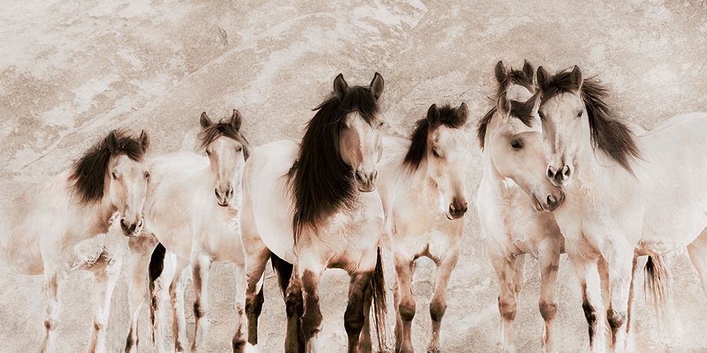 The Tribe ~ Sepia art print by Robert Dawson for $57.95 CAD