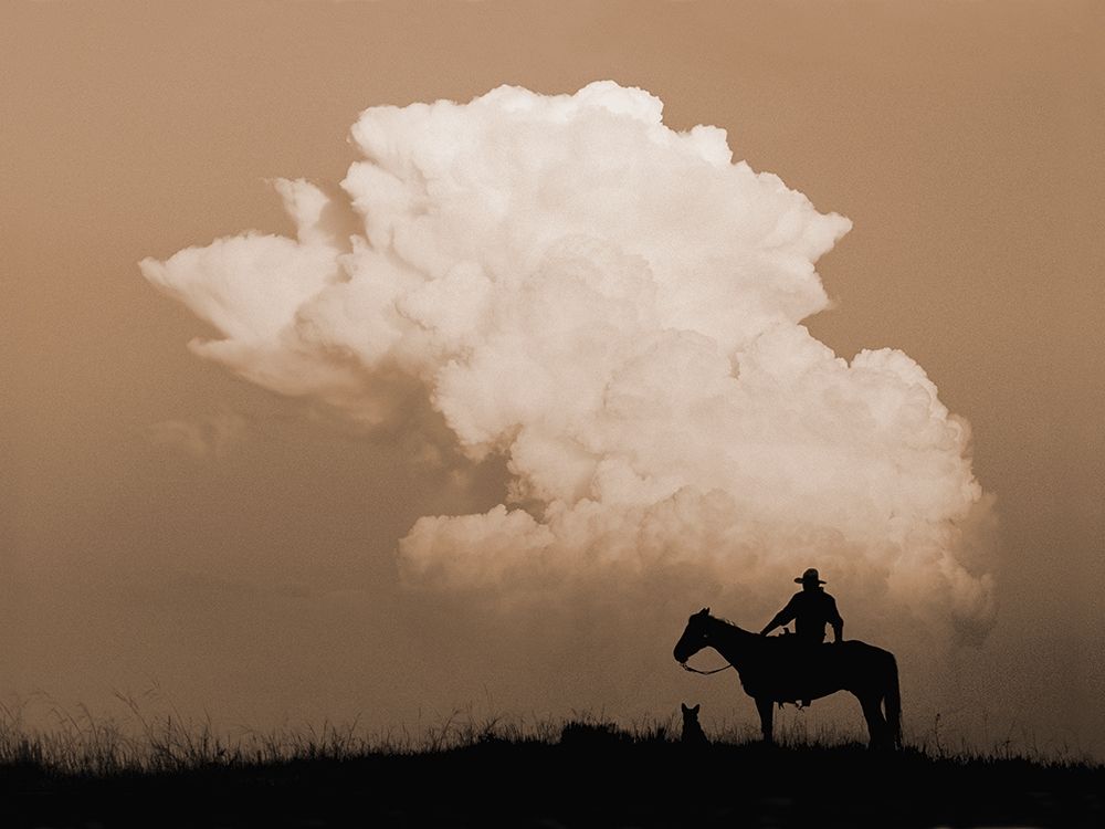 Thunder art print by Robert Dawson for $57.95 CAD