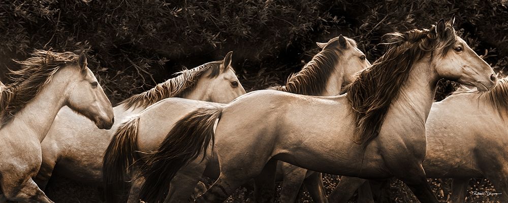 Were Out of Here art print by Robert Dawson for $57.95 CAD