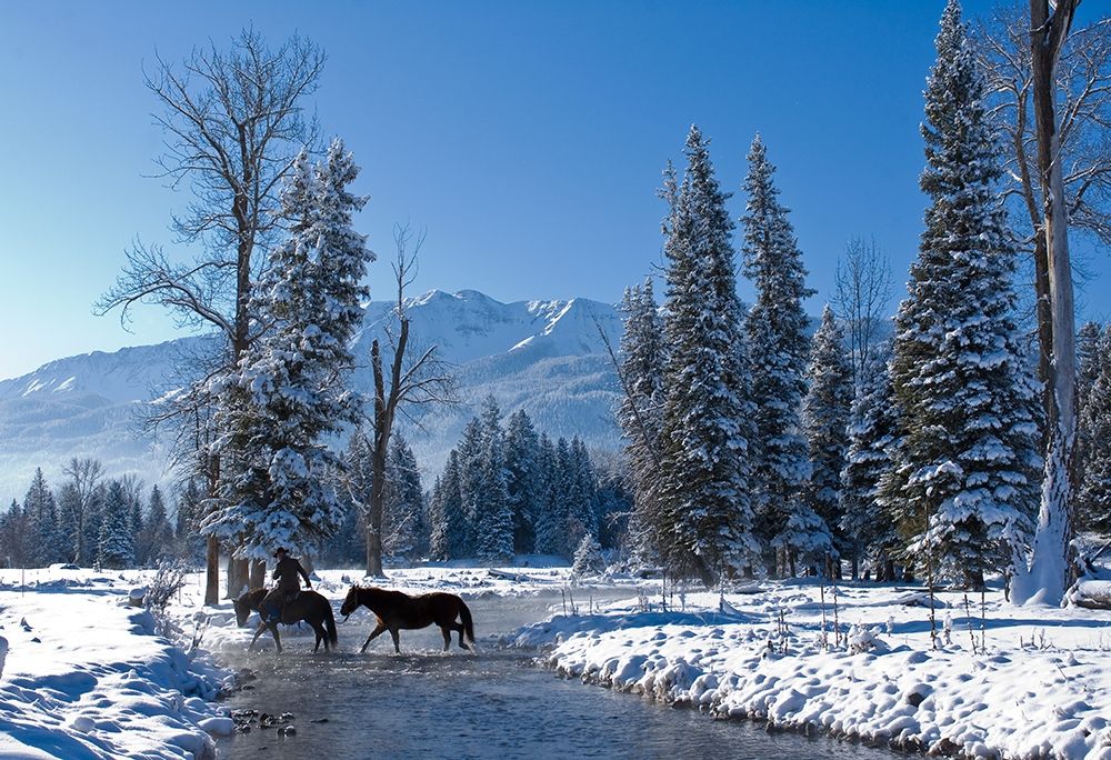 Winter In the Wallowa art print by Robert Dawson for $57.95 CAD