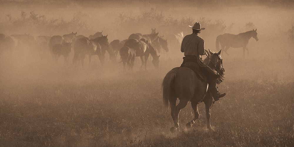 Changing Pastures art print by Robert Dawson for $57.95 CAD