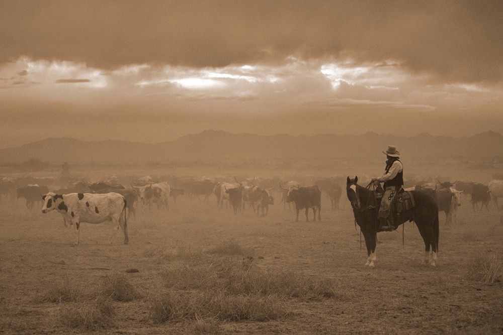 Settling the Herd art print by Robert Dawson for $57.95 CAD