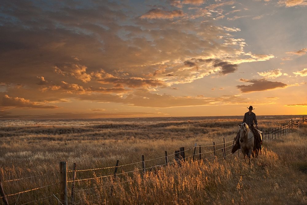Sunset on the Prairie art print by Robert Dawson for $57.95 CAD