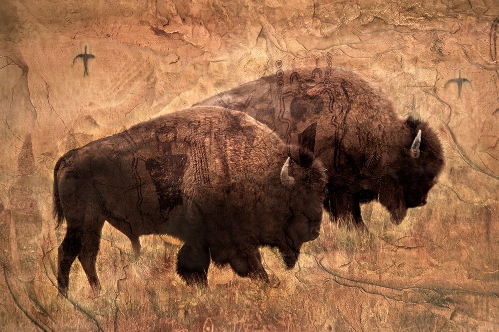 The Elders art print by Robert Dawson for $57.95 CAD