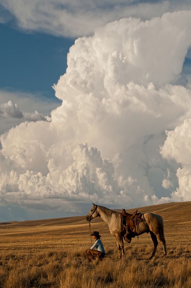 Thunder On the Prairie art print by Robert Dawson for $57.95 CAD