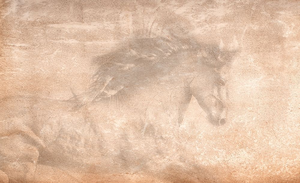 The Stallion art print by Robert Dawson for $57.95 CAD