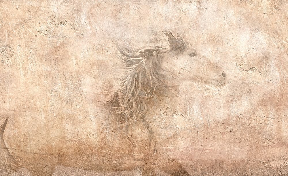 The Fresco Horse art print by Robert Dawson for $57.95 CAD