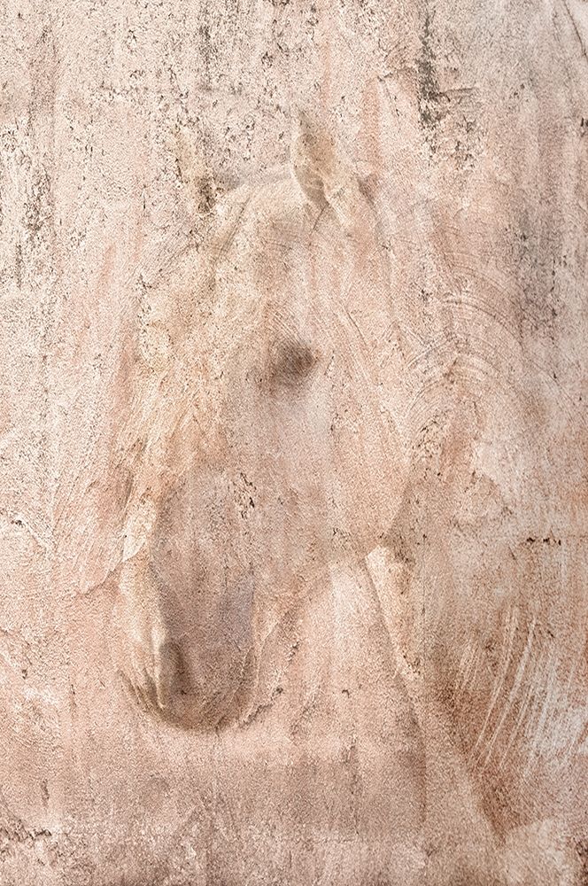The White Stallion art print by Robert Dawson for $57.95 CAD