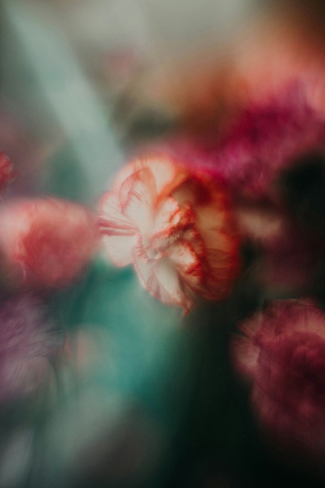 kafai-liu-zo3vZIZvmdY-unsplash art print by Somerset House for $57.95 CAD
