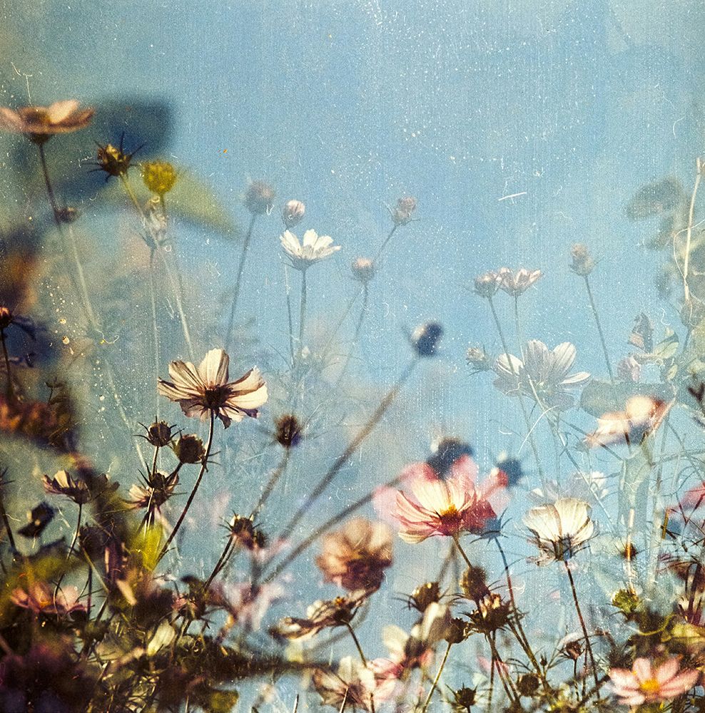 annie-spratt-KlSiAkTguOY-unsplash art print by Somerset House for $57.95 CAD