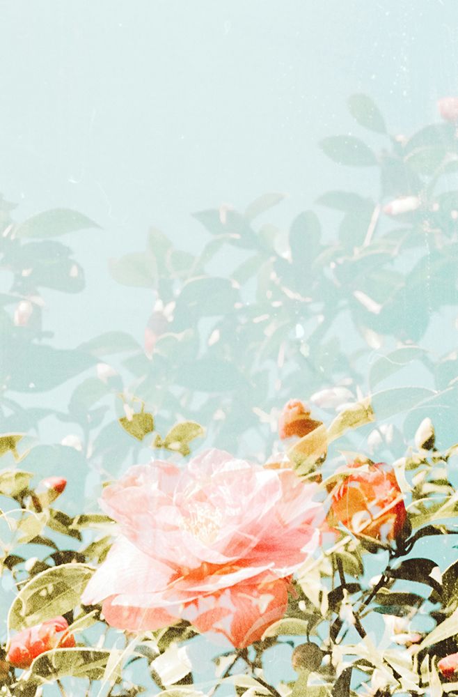 annie-spratt-MASFMQGq62k-unsplash art print by Somerset House for $57.95 CAD