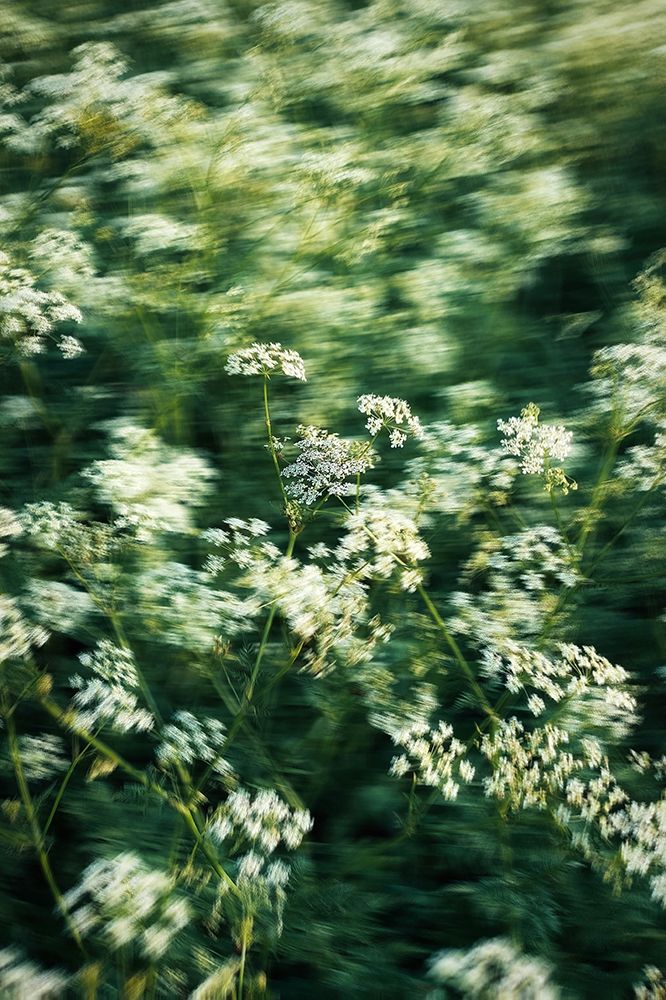 eugene-golovesov-6qbx0lzGPyc-unsplash art print by Somerset House for $57.95 CAD