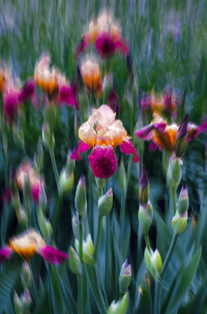 eugene-golovesov-r2oTOdOOD-8-unsplash art print by Somerset House for $57.95 CAD