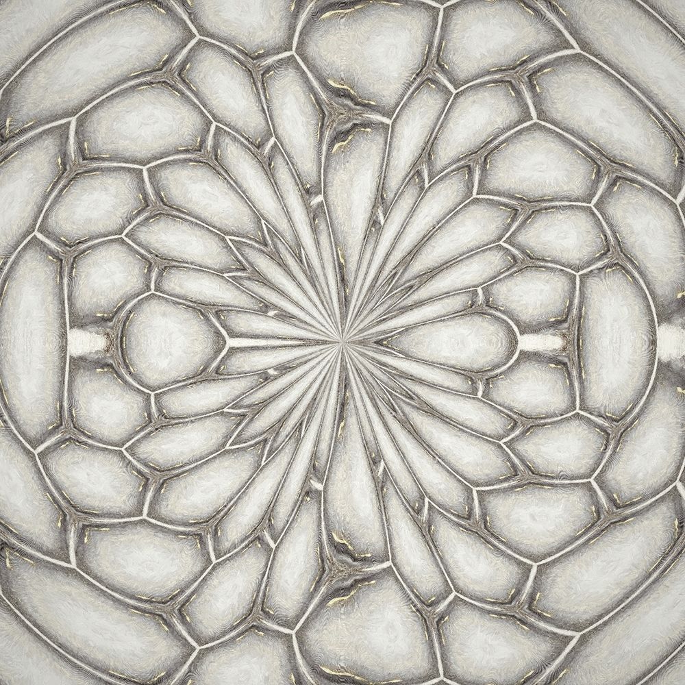 Pattern I art print by Ronald Bolokofsky for $57.95 CAD