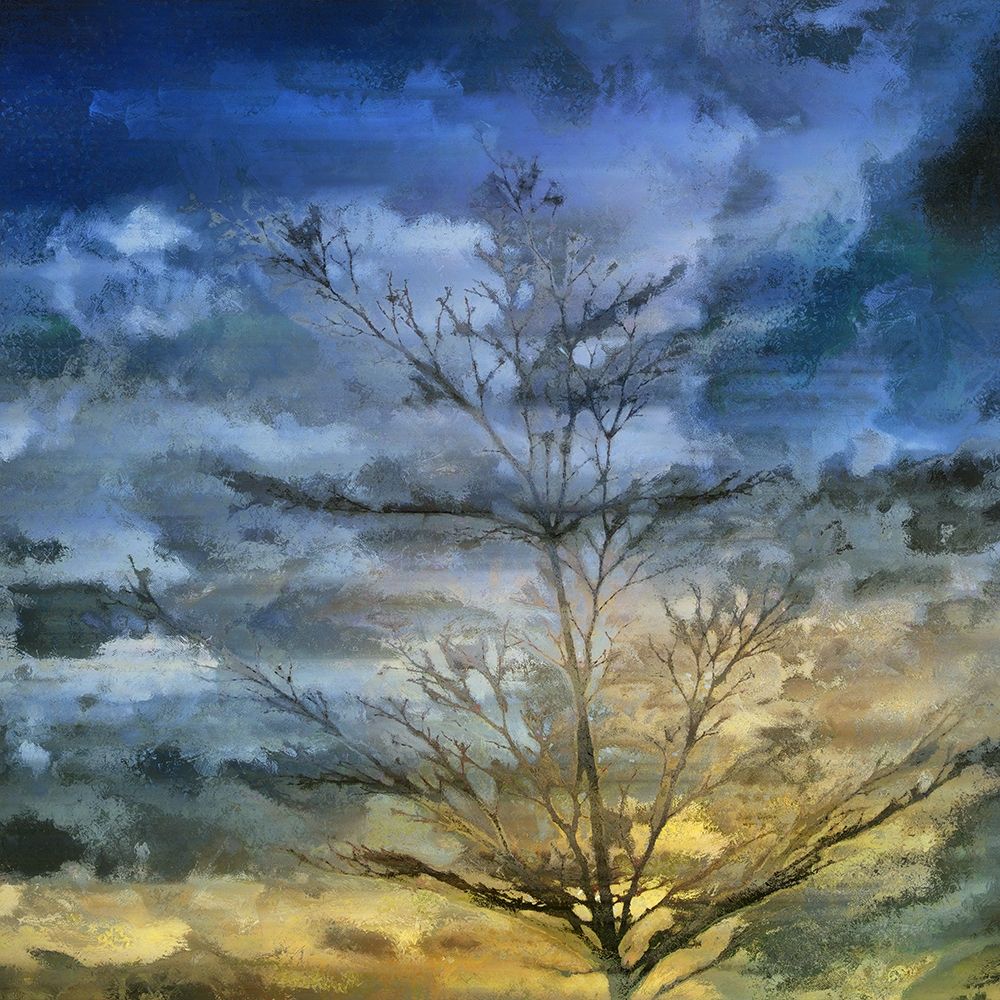 Marble Skies art print by Ronald Bolokofsky for $57.95 CAD