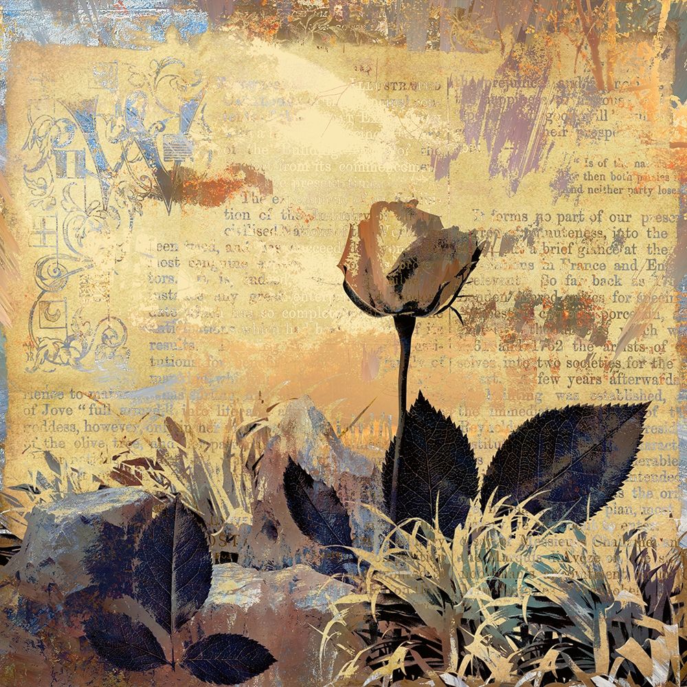 Prairie Rose art print by Ronald Bolokofsky for $57.95 CAD