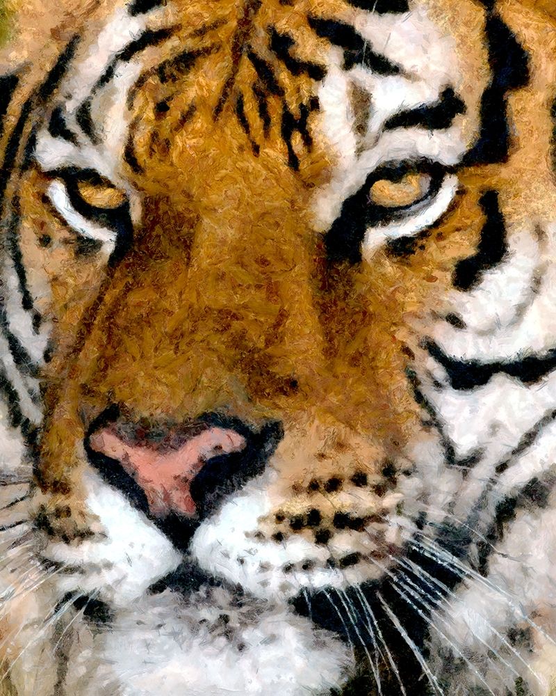 Portrait of a Tiger art print by Ronald Bolokofsky for $57.95 CAD