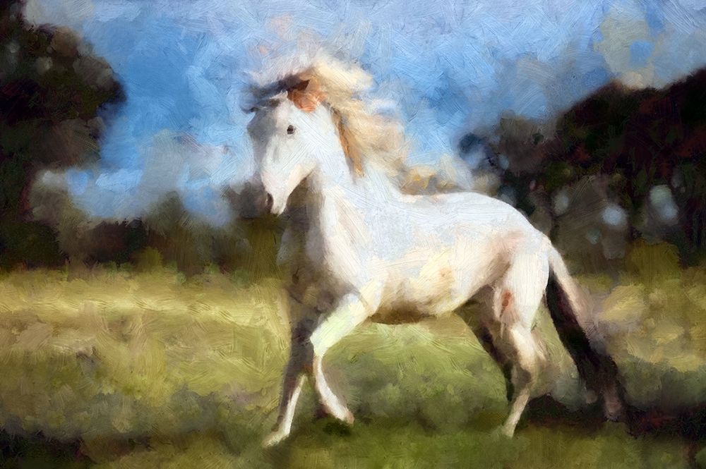Slow Trot art print by Ronald Bolokofsky for $57.95 CAD