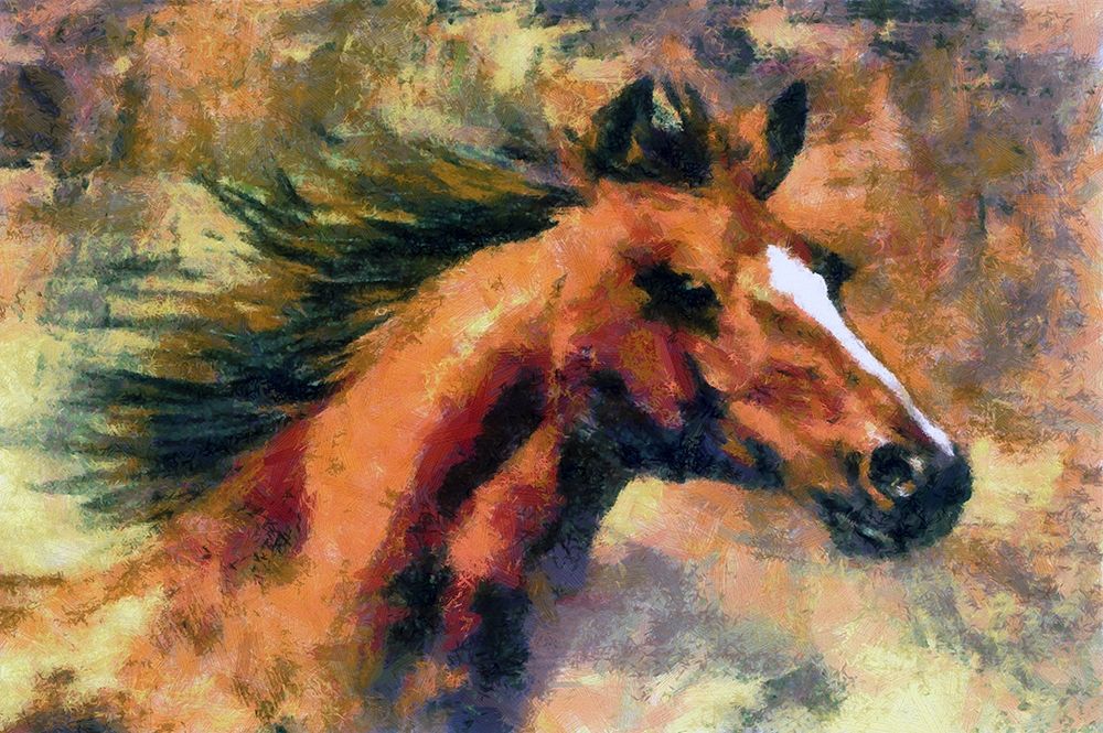 Runner art print by Ronald Bolokofsky for $57.95 CAD