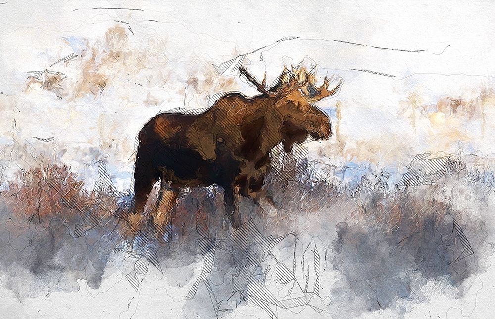 Bull Moose art print by Ronald Bolokofsky for $57.95 CAD