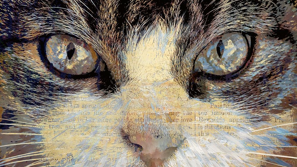 Cat Eyes art print by Ronald Bolokofsky for $57.95 CAD