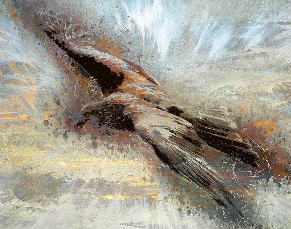 Soaring Above the Clouds art print by Ronald Bolokofsky for $57.95 CAD