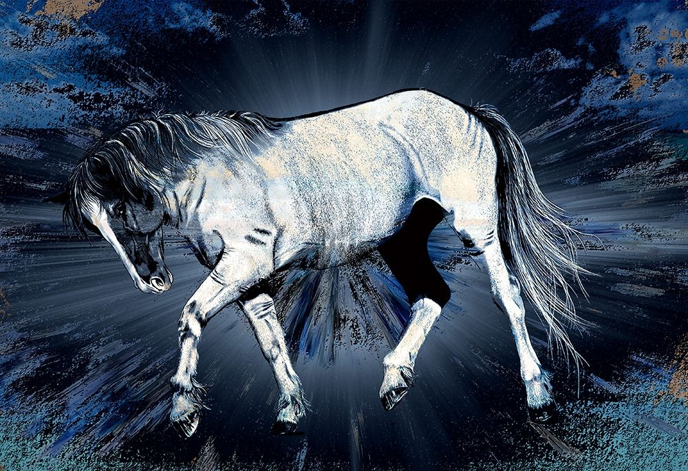 White Beauty art print by Ronald Bolokofsky for $57.95 CAD