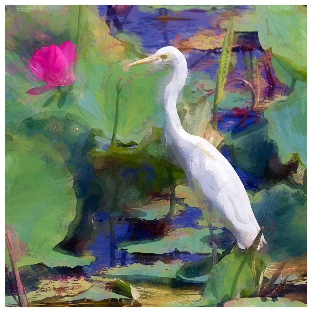 White Egret I art print by Ronald Bolokofsky for $57.95 CAD