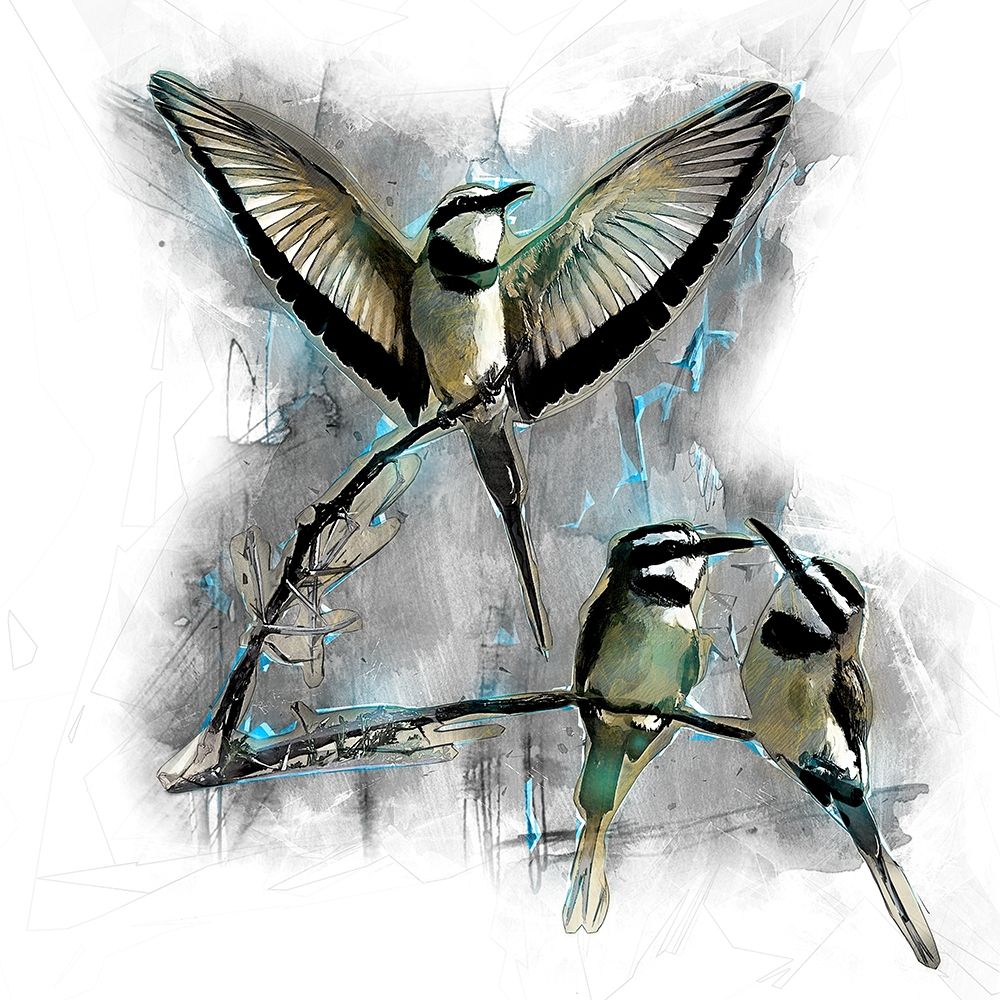 White Throated Bee Eater art print by Ronald Bolokofsky for $57.95 CAD