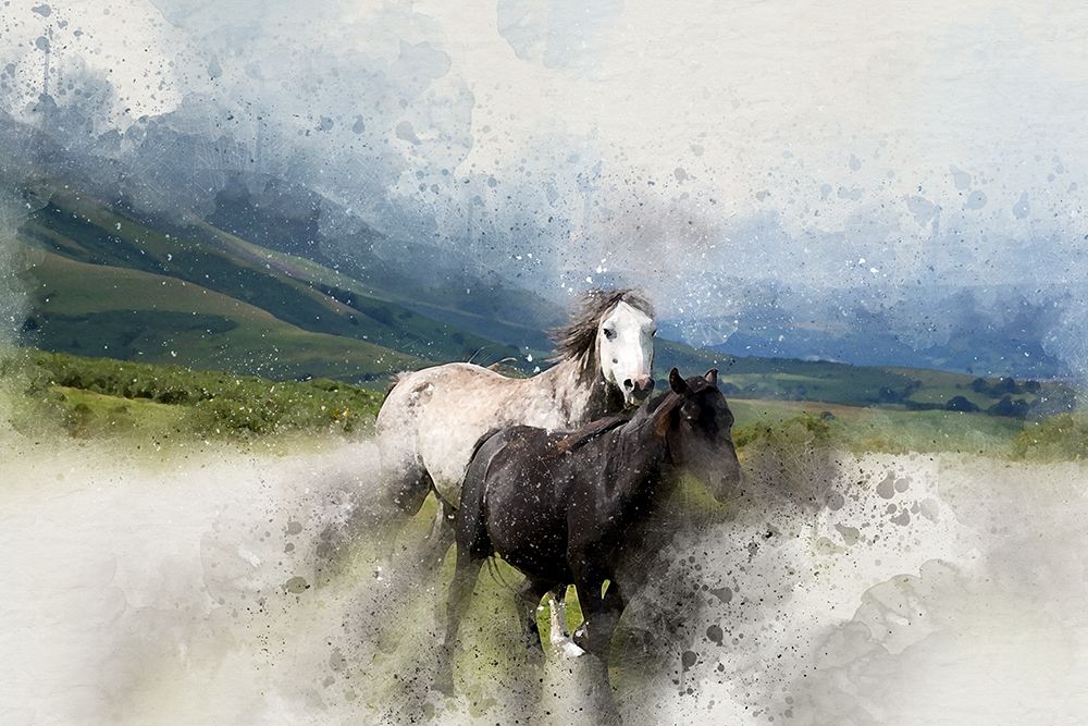 Wild Horses I art print by Ronald Bolokofsky for $57.95 CAD