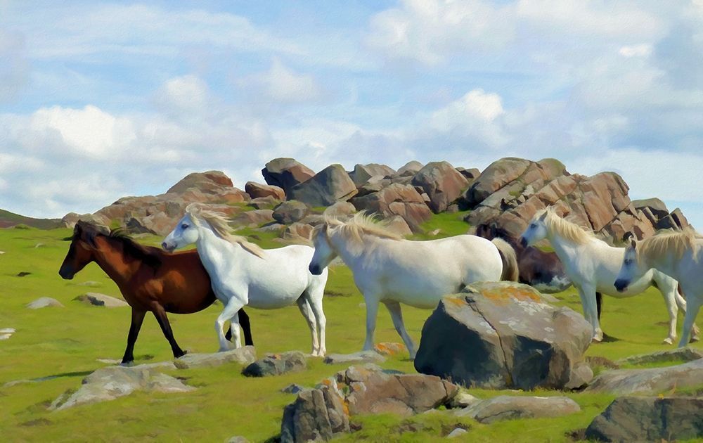 Wild Horses II art print by Ronald Bolokofsky for $57.95 CAD