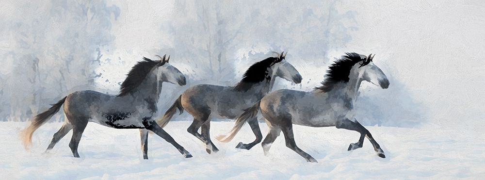 Winter Run art print by Ronald Bolokofsky for $57.95 CAD