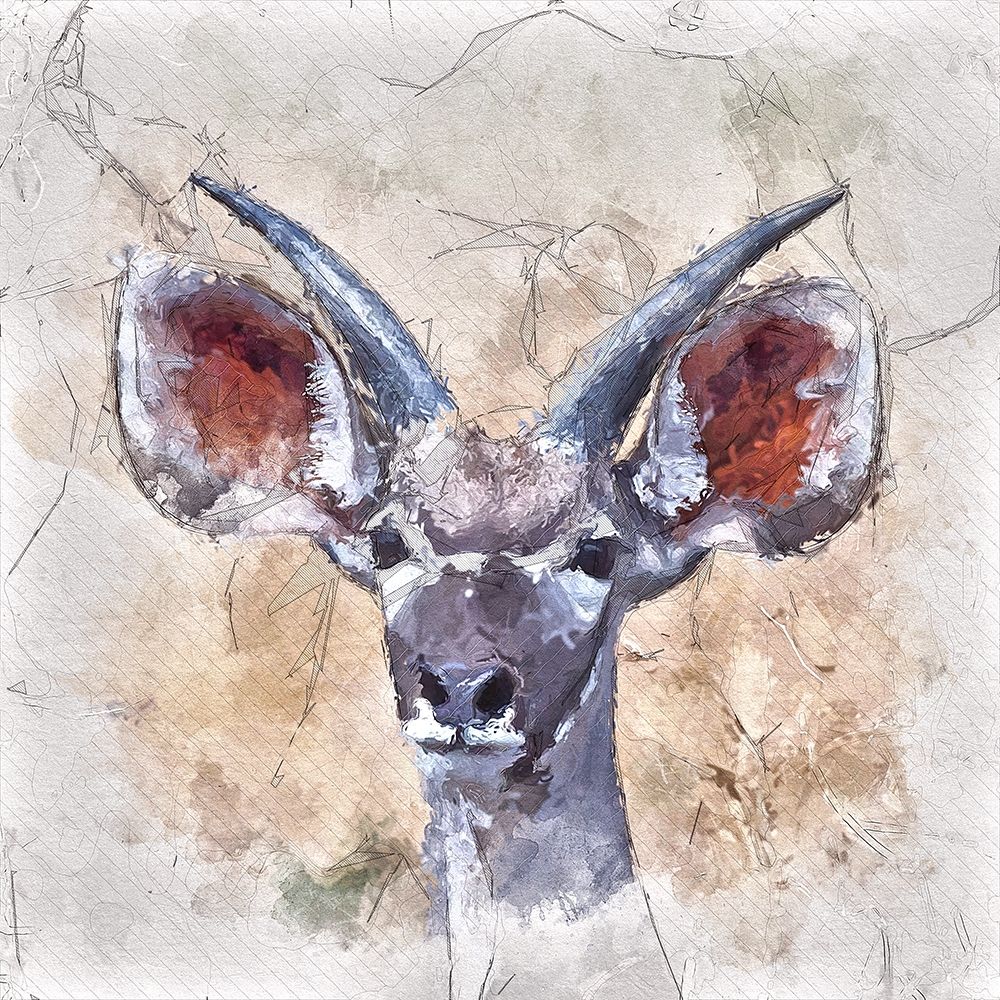 Young Kudu art print by Ronald Bolokofsky for $57.95 CAD