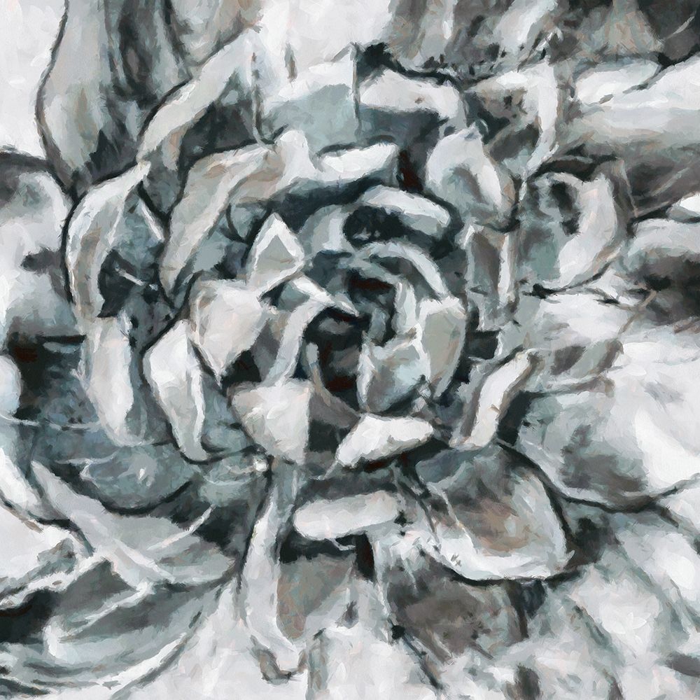 Cereus Aeonium art print by Ronald Bolokofsky for $57.95 CAD