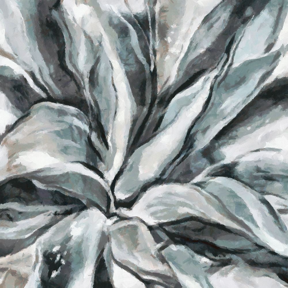 Cereus Aloe art print by Ronald Bolokofsky for $57.95 CAD