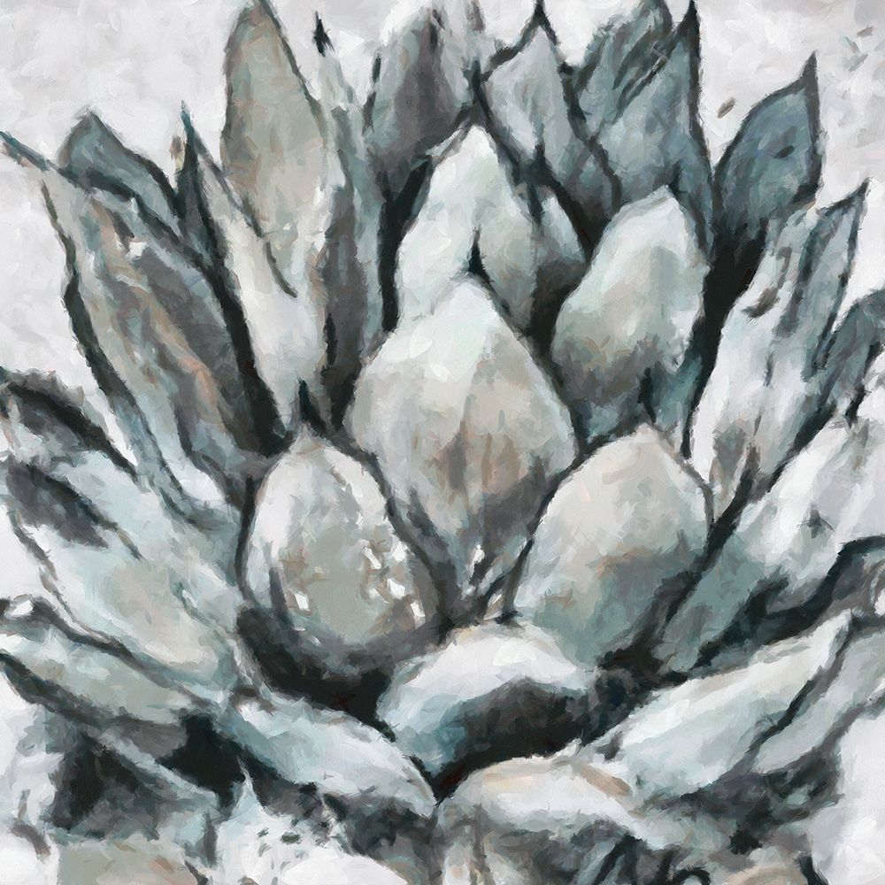 Cereus Echeveria art print by Ronald Bolokofsky for $57.95 CAD