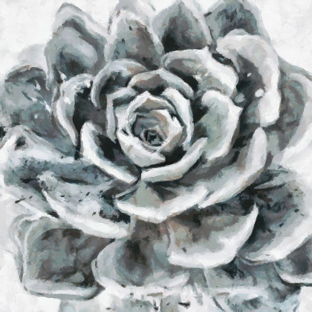 Cereus Sempervivum art print by Ronald Bolokofsky for $57.95 CAD