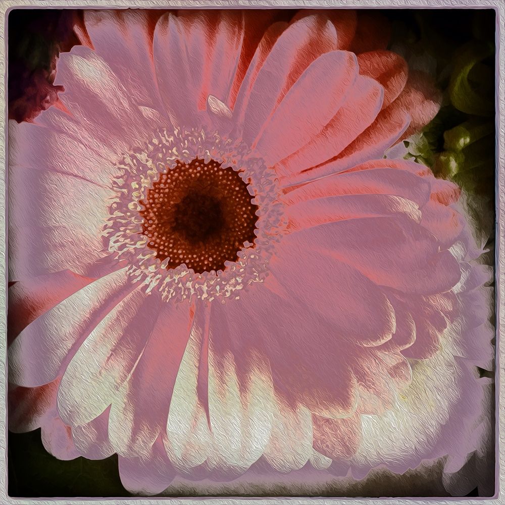 Floral Pink art print by Ronald Bolokofsky for $57.95 CAD