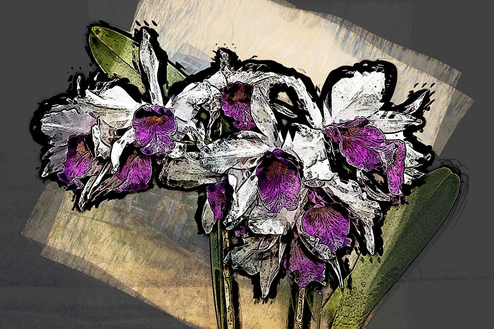 Magic Orchids I art print by Ronald Bolokofsky for $57.95 CAD