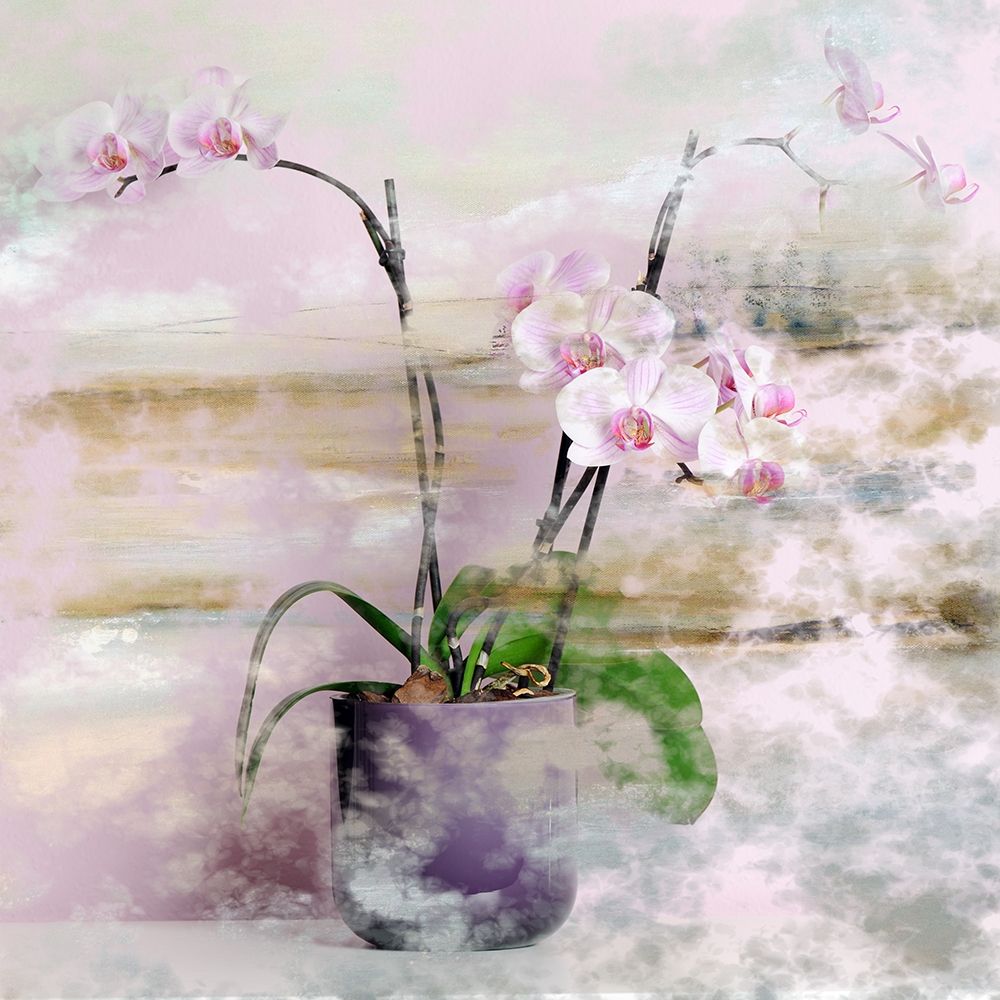 Pink Orchids I art print by Ronald Bolokofsky for $57.95 CAD
